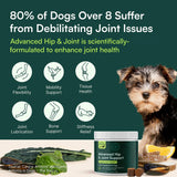 Advanced Hip & Joint Support Chews