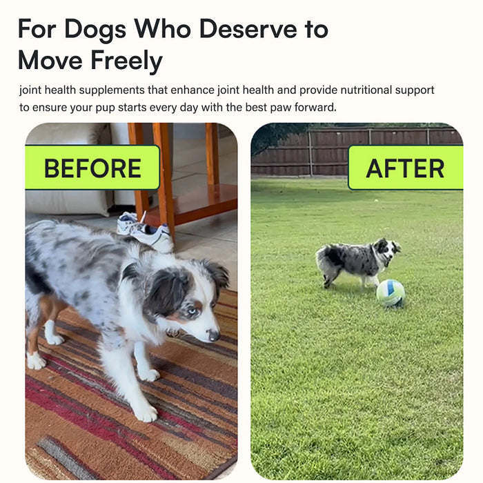 Advanced Hip & Joint Support Chews