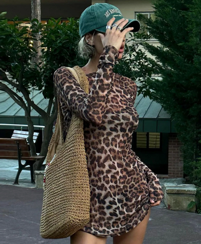 Leopard Mesh Print Two Piece Dress Set