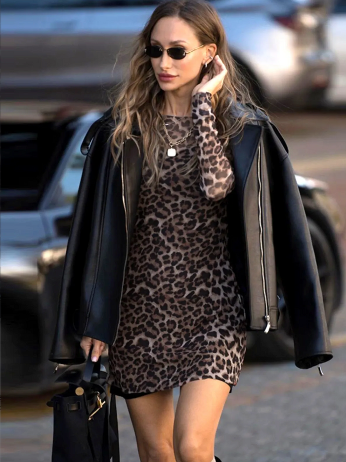 Leopard Mesh Print Two Piece Dress Set