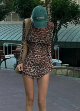 Leopard Mesh Print Two Piece Dress Set