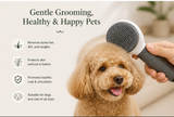 Self-Cleaning Grooming Brush — One-Click Hair Removal