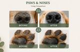 Natural Paw & Nose Balm