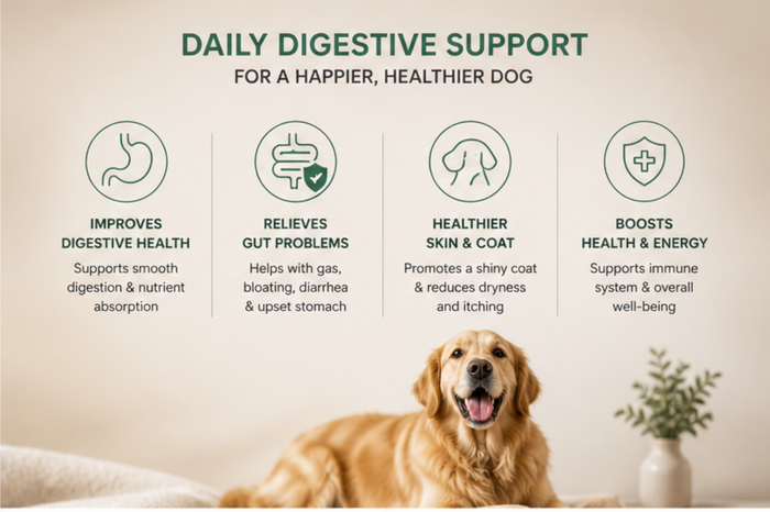 Pre & Probiotic Digestive Chews